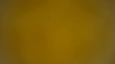 quinnxx online show from March 2026 08:19:01 AM