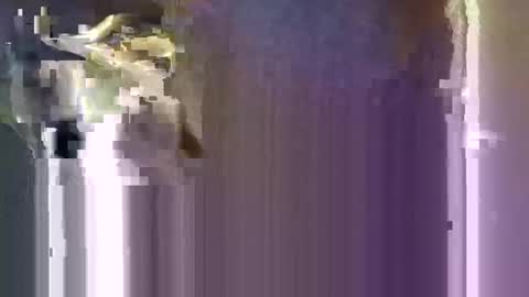 Snapshot of r04233054 chatting on January 2026 08:16:01 AM r04233054 online show from January 2026 08:16:01 AM