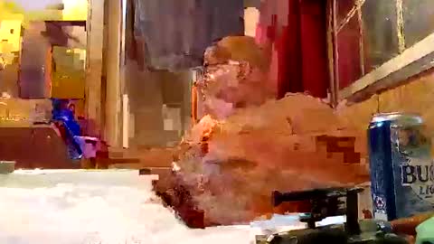 rabidsquirrell online show from February 2025 12:53:02 AM