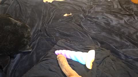 raerae02 online show from May 2026 11:37:01 AM