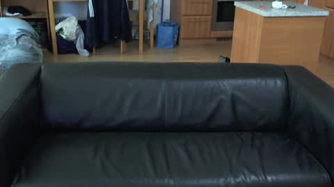 rafaelosteel online show from November 2025 03:56:01 PM