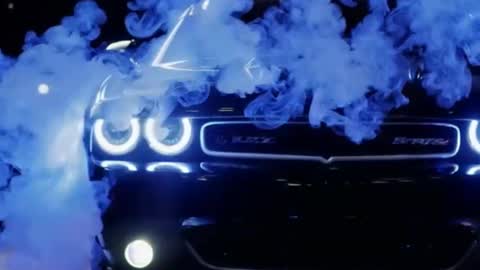 rah_8151 online show from March 2025 12:27:02 AM