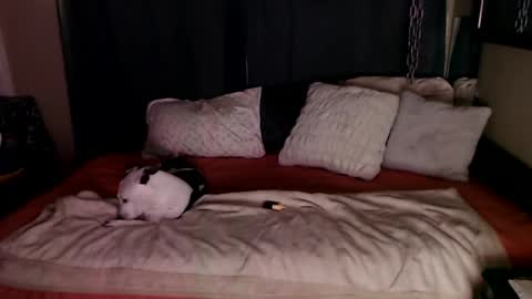 Snapshot of ramonaquinn chatting on December 2024 08:49:02 AM RAMONA Q online show from December 2024 08:49:02 AM