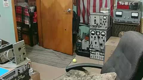 Randall online show from January 2026 03:21:02 AM