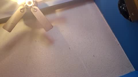 Snapshot of randcandy77 chatting on November 2025 04:51:02 PM Randcandy77 online show from November 2025 04:51:02 PM