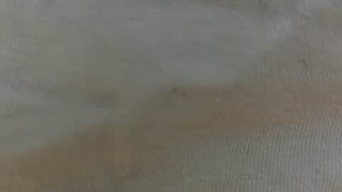 randytoy online show from June 2026 05:03:02 AM