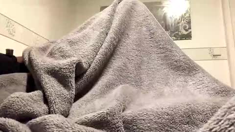 Snapshot of ranj00800 chatting on November 2025 06:51:01 PM ranj00800 online show from November 2025 06:51:01 PM