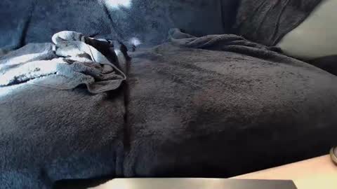 Snapshot of rasa15 chatting on February 2025 08:09:02 PM rasa15 online show from February 2025 08:09:02 PM