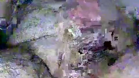 Rasit Adanali online show from March 2026 03:54:01 AM