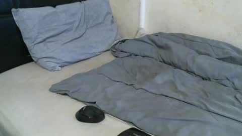 Rator 22 online show from December 2024 08:27:02 AM