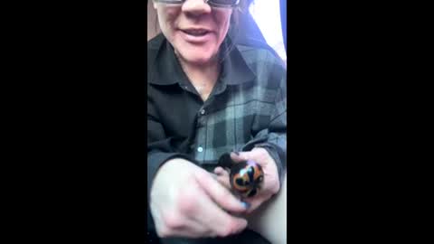 Raven Ray online show from February 2026 04:22:01 PM