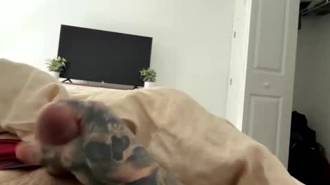 Snapshot of raws33x chatting on February 2026 03:50:01 PM raws33x online show from February 2026 03:50:01 PM