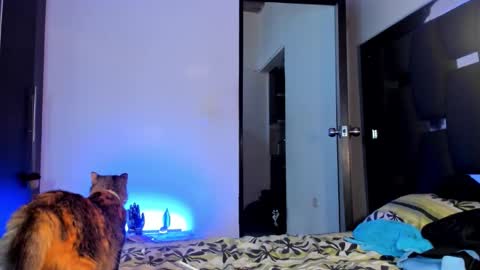 Rayn online show from September 2025 09:42:01 PM