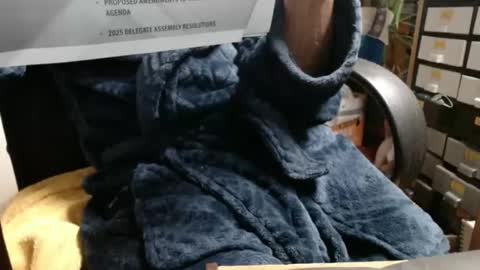 Ray online show from November 2025 03:39:01 AM