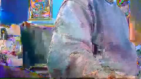 rb69er905364 online show from December 2024 04:52:01 PM