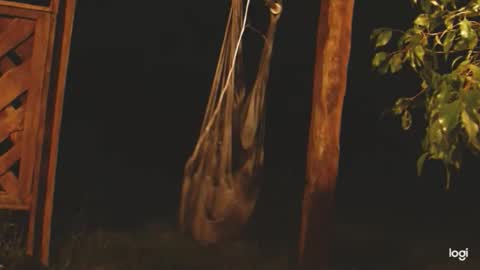 ready4aride2day online show from April 2026 02:14:02 AM