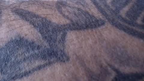 realrubpirate online show from January 2025 09:02:02 AM