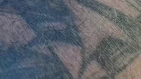 realrubpirate online show from September 2025 09:31:01 AM