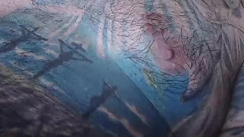 realrubpirate online show from February 2026 09:08:02 AM