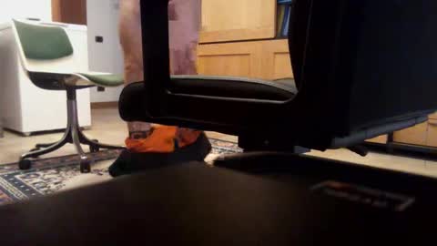 Snapshot of redbull3254 chatting on December 2025 11:26:02 AM redbull3254 online show from December 2025 11:26:02 AM