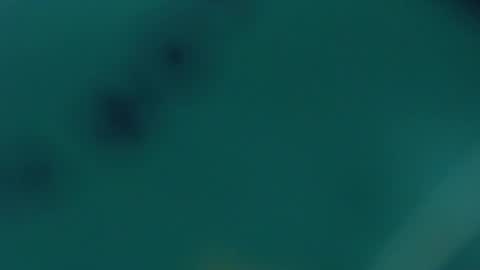 Lupe online show from February 2025 09:55:01 AM