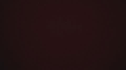 RedsoulReaver online show from March 2025 03:54:01 AM