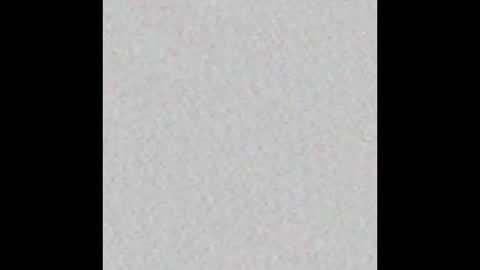 rennuts online show from February 2025 08:07:01 AM