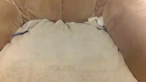 Mark online show from March 2026 08:07:01 AM