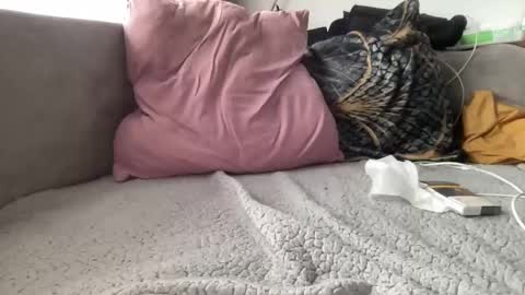 reyna77 online show from January 2025 09:46:01 AM