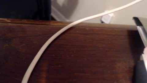 Trae online show from February 2025 01:10:02 PM