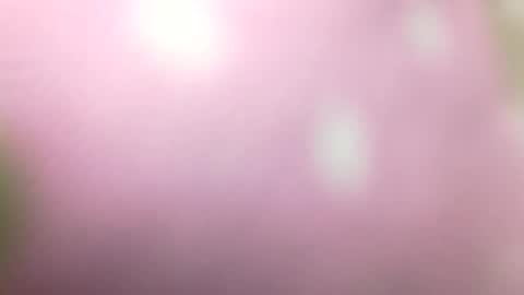 Shaved cock ready online show from January 2025 10:56:02 PM