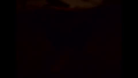 Shaved cock ready online show from January 2025 08:16:01 PM