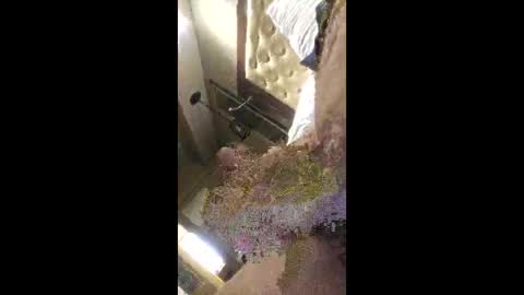 rich7665 online show from April 2026 04:59:02 PM