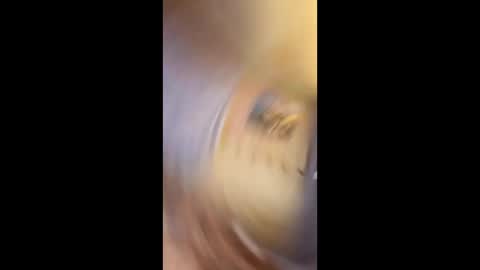 Snapshot of richtarus chatting on February 2026 10:50:02 PM Gunman online show from February 2026 10:50:02 PM