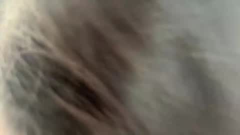 Ammy here its my first stream here online show from February 2026 02:22:01 AM