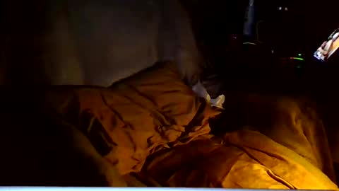 PINK HOLE TWINK online show from March 2026 04:53:02 AM