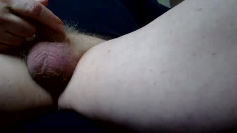 Ridgepole online show from November 2025 12:15:01 PM