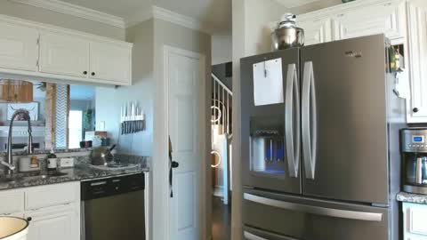 riley depp online show from February 2025 10:36:01 PM