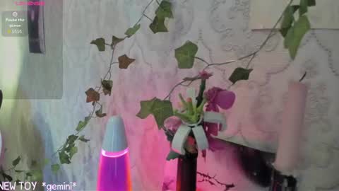 Snapshot of rileynymph chatting on July 2026 03:15:02 AM My name is Riley Like my broadcast pls 3 online show from July 2026 03:15:02 AM
