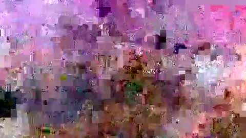 rise4333 online show from October 2025 07:56:02 PM