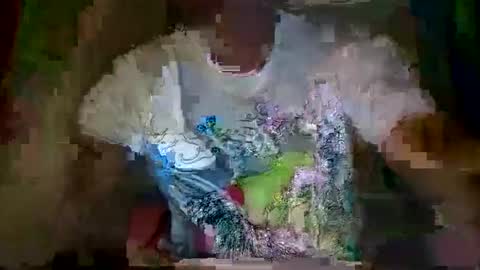 rival320533 online show from September 2025 04:08:01 PM