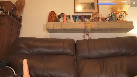 Ryan aka KeylimeRy online show from February 2025 07:38:02 AM