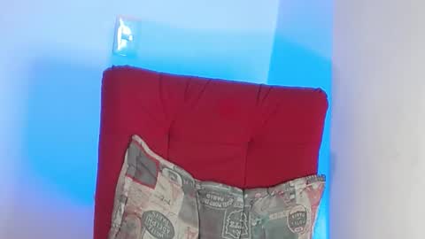 Stiven - online show from February 2025 10:13:01 PM