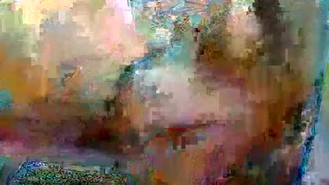 Robgrappler online show from January 2026 02:38:01 AM