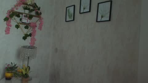 robin D online show from February 2026 01:10:01 PM