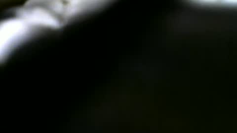R online show from August 2026 10:39:02 AM