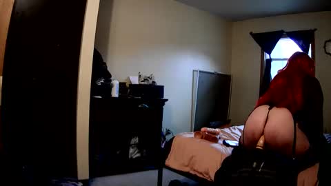 Snapshot of robinhead1981 chatting on February 2026 05:53:02 PM RobinHEAD online show from February 2026 05:53:02 PM