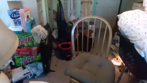 rocky082288 online show from January 2025 01:24:01 PM