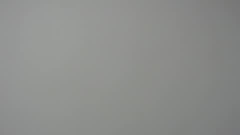 rocky muscle online show from March 2026 06:31:02 AM