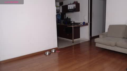 Rogger online show from February 2025 03:12:02 AM